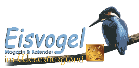 Eisvogel-  Magazin & Kalender im Weserbergland